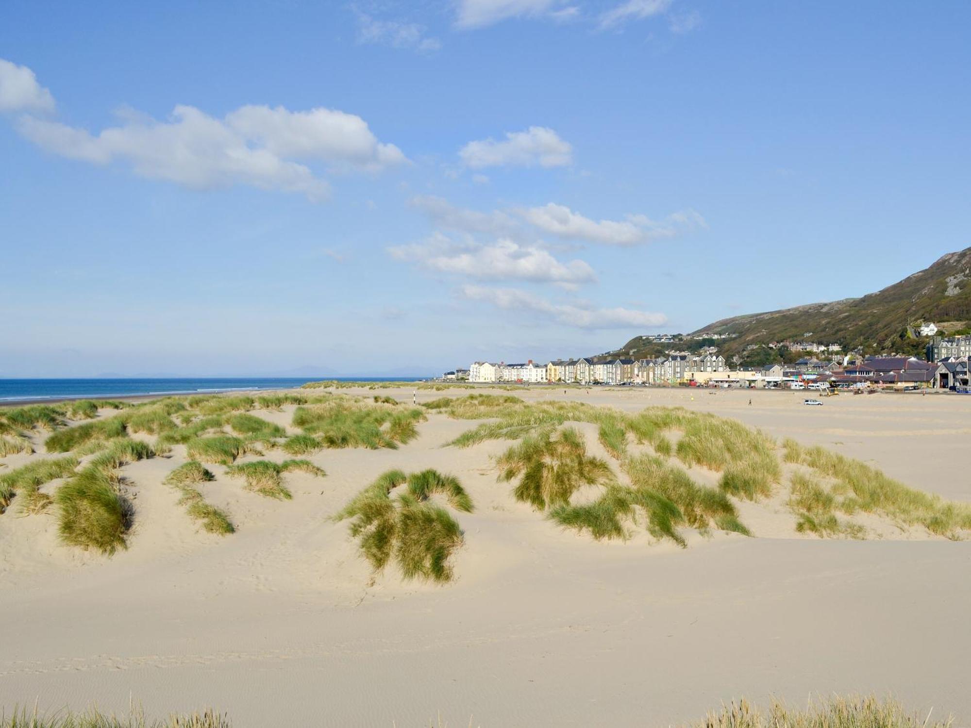 Cae-Fadog Fach Villa Barmouth Dış mekan fotoğraf